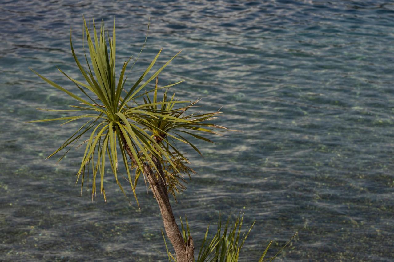 Apartments Adeona Tivat Kültér fotó